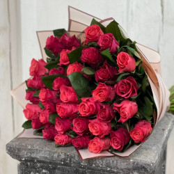 Roses Tacazzi