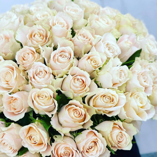 Bouquet 101 Rose
