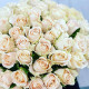 Bouquet 101 Rose