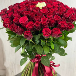 Rozes 101
