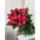 Pink tacazzi 19gb/60cm
