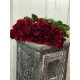 Red Panther 19gb/70cm