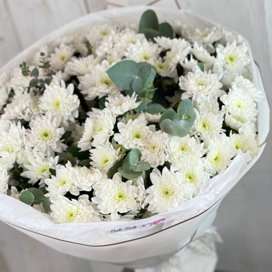 Mārtiņrozes White