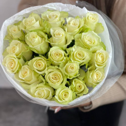 Rozes Athena 19gb/40cm