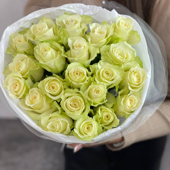 Rozes Athena 19gb/40cm