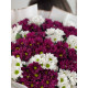 Bouquet Feori