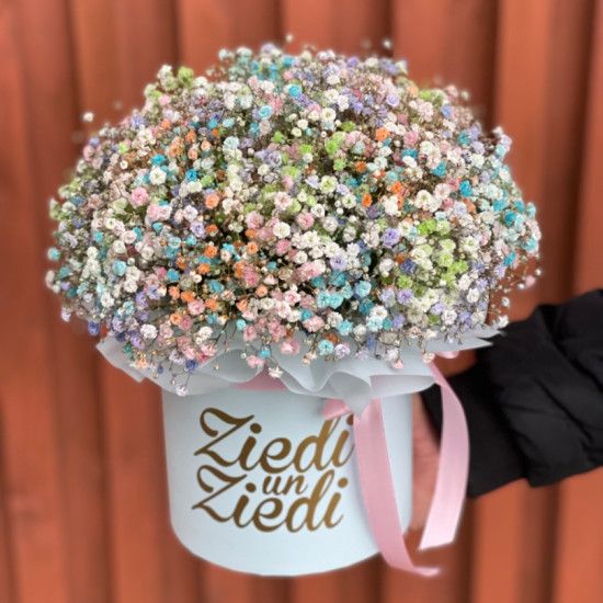 Flower Box rainbow