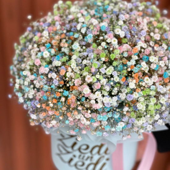 Flower Box rainbow