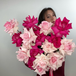 Flower box rose