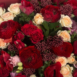 Amore Red