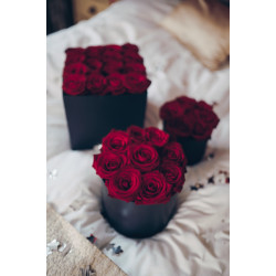 Flower Box 3 in 1