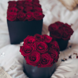Flower Box 3 in 1