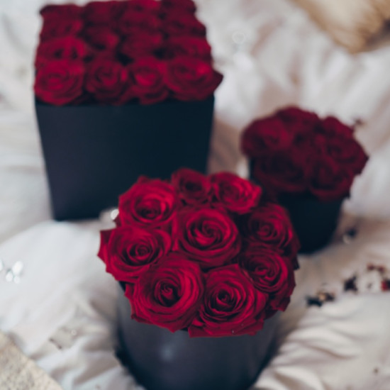 Flower Box 3 in 1