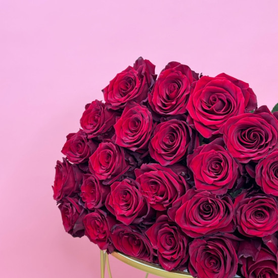 Red Rose