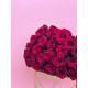 Red Rose