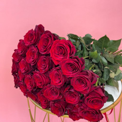 Red Rose