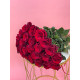 Red Rose
