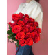 Rose Nina