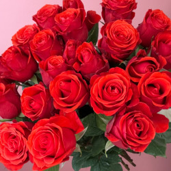 Rose Nina