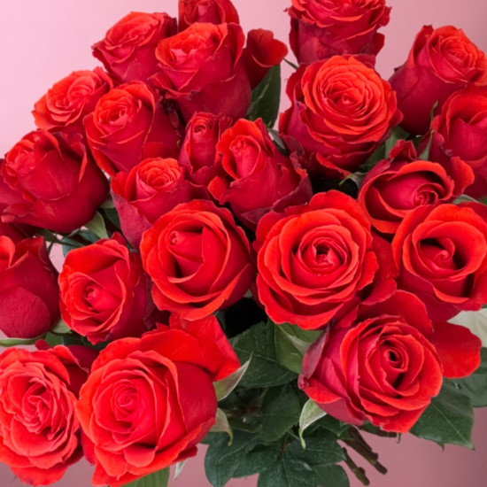 Rose Nina