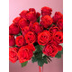 Rose Nina