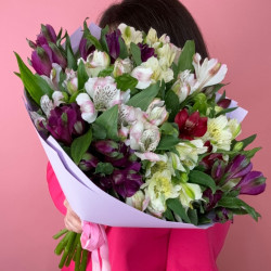 Austrumeria Mix