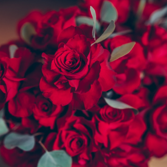 Bouquet Red Romance