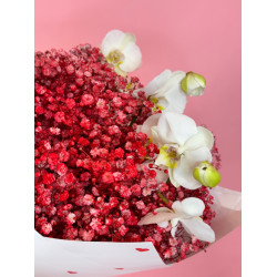 Bouquet red cloud