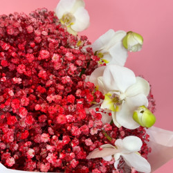 Bouquet red cloud